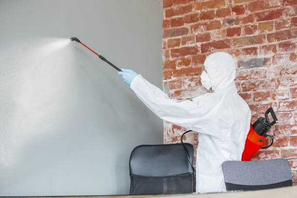 Mold Remediation for Rental Properties in Windham, OH