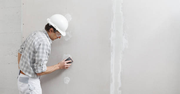 Best Crawl Space Mold Remediation  in Windham, OH