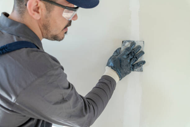 Best Biohazard Mold Removal  in Windham, OH