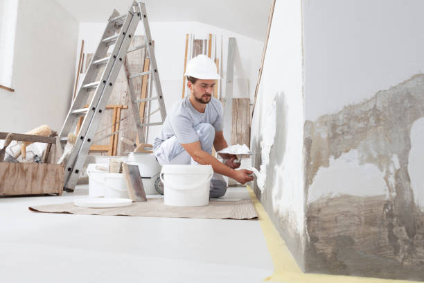  Windham, OH Mold Removal Pros