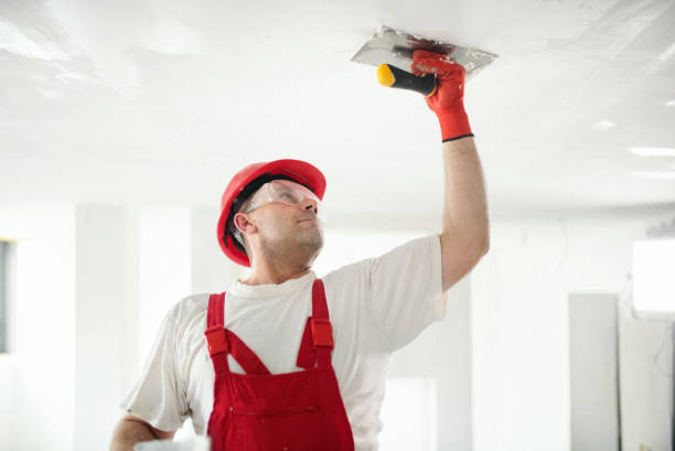 Best Environmental Consulting for Mold Prevention  in Windham, OH