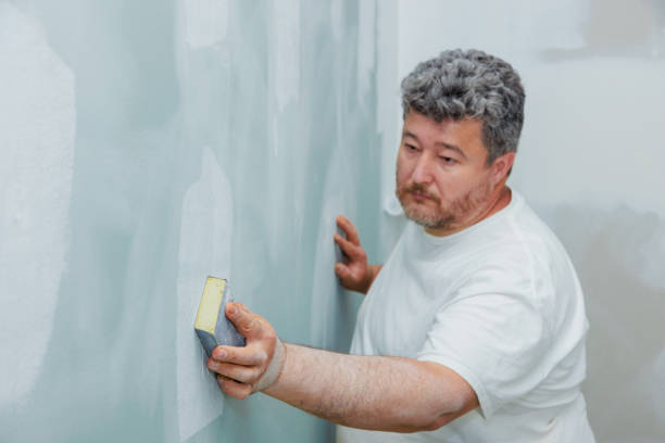Best HVAC Mold Inspection and Cleaning  in Windham, OH