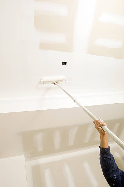 Best Commercial Mold Inspection  in Windham, OH