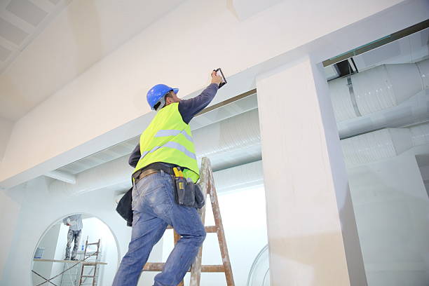Best Commercial Mold Inspection  in Windham, OH