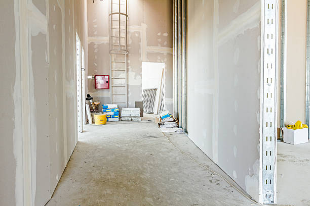 Biohazard Mold Removal in Windham, OH