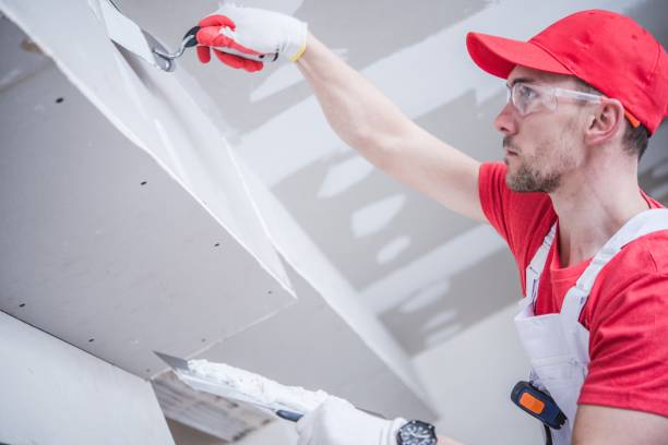 Best Asbestos and Lead Testing During Mold Inspection  in Windham, OH