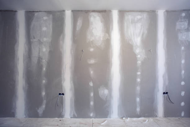 Best Industrial Mold Remediation  in Windham, OH